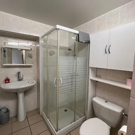 Aux 2 Vignes - Grande Maison Ideale En Famille Ou Entre Amis - Animaux Acceptes Kientzheim